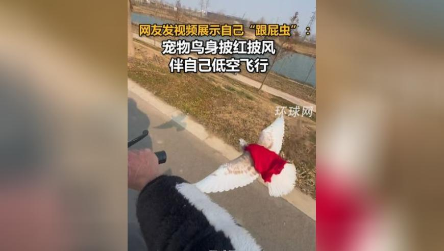 澳门玄机网,28岁女子双肺长癌竟跟这个习惯有关,最新核心解答落实_钻石版V13.48